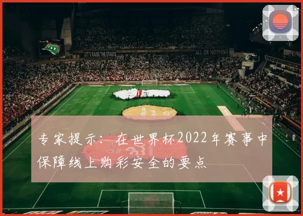 专家提示:在世界杯2022年赛事中保障线上购彩安全的要点