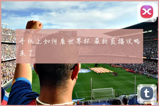 手机上如何看世界杯 最新直播攻略来了