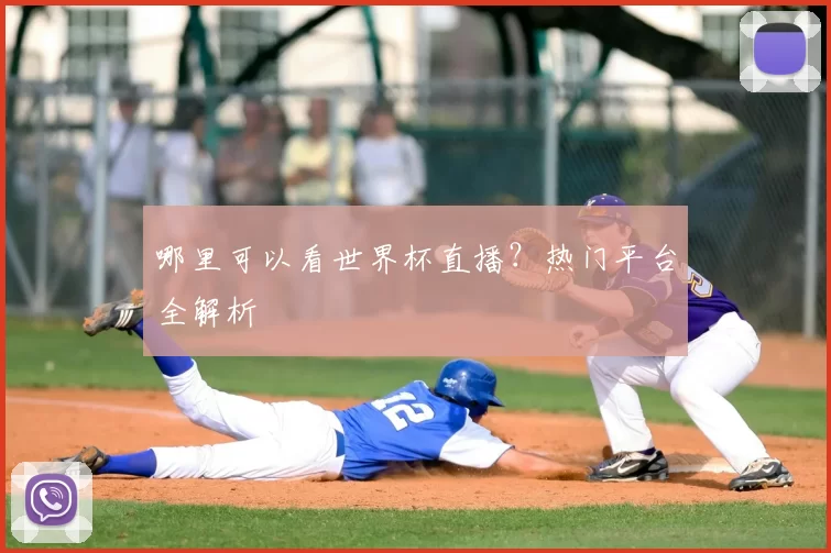 哪里可以看世界杯直播?热门平台全解析