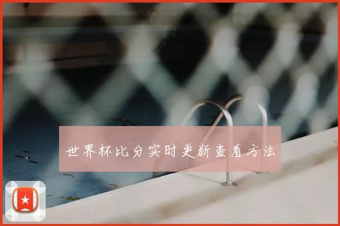 世界杯比分实时更新查看方法