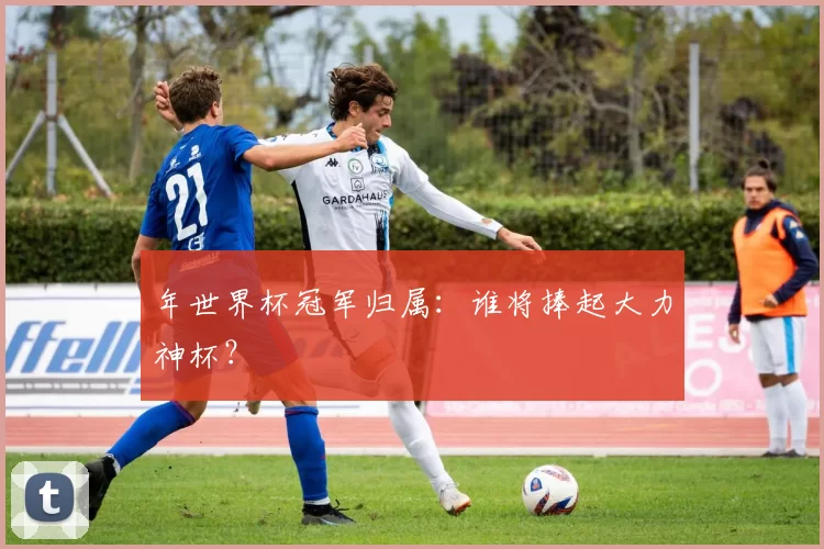 年世界杯冠军归属:谁将捧起大力神杯?