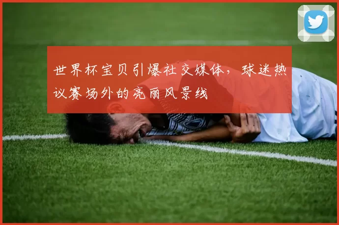 世界杯宝贝引爆社交媒体,球迷热议赛场外的亮丽风景线