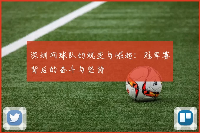 深圳网球队的蜕变与崛起:冠军赛背后的奋斗与坚持