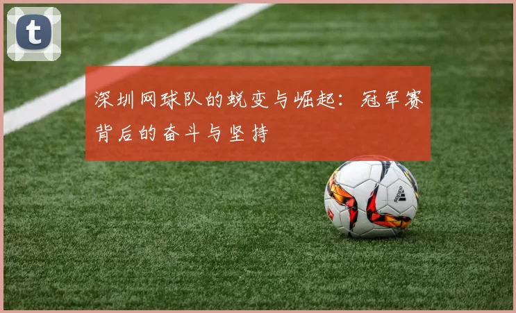 深圳网球队的蜕变与崛起:冠军赛背后的奋斗与坚持