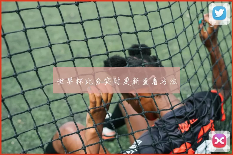 世界杯比分实时更新查看方法