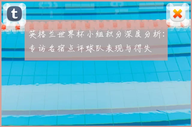 英格兰世界杯小组积分深度分析:专访名宿点评球队表现与得失