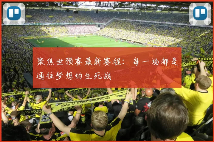 聚焦世预赛最新赛程:每一场都是通往梦想的生死战