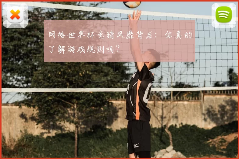 网络世界杯竞猜风靡背后:你真的了解游戏规则吗?