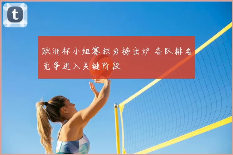欧洲杯小组赛积分榜出炉 各队排名竞争进入关键阶段